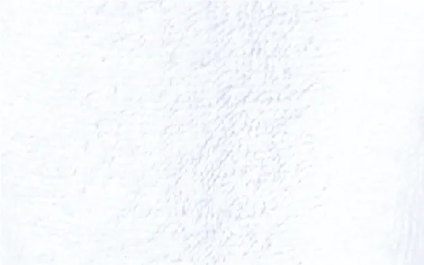 Earthright Micro Cotton Robe