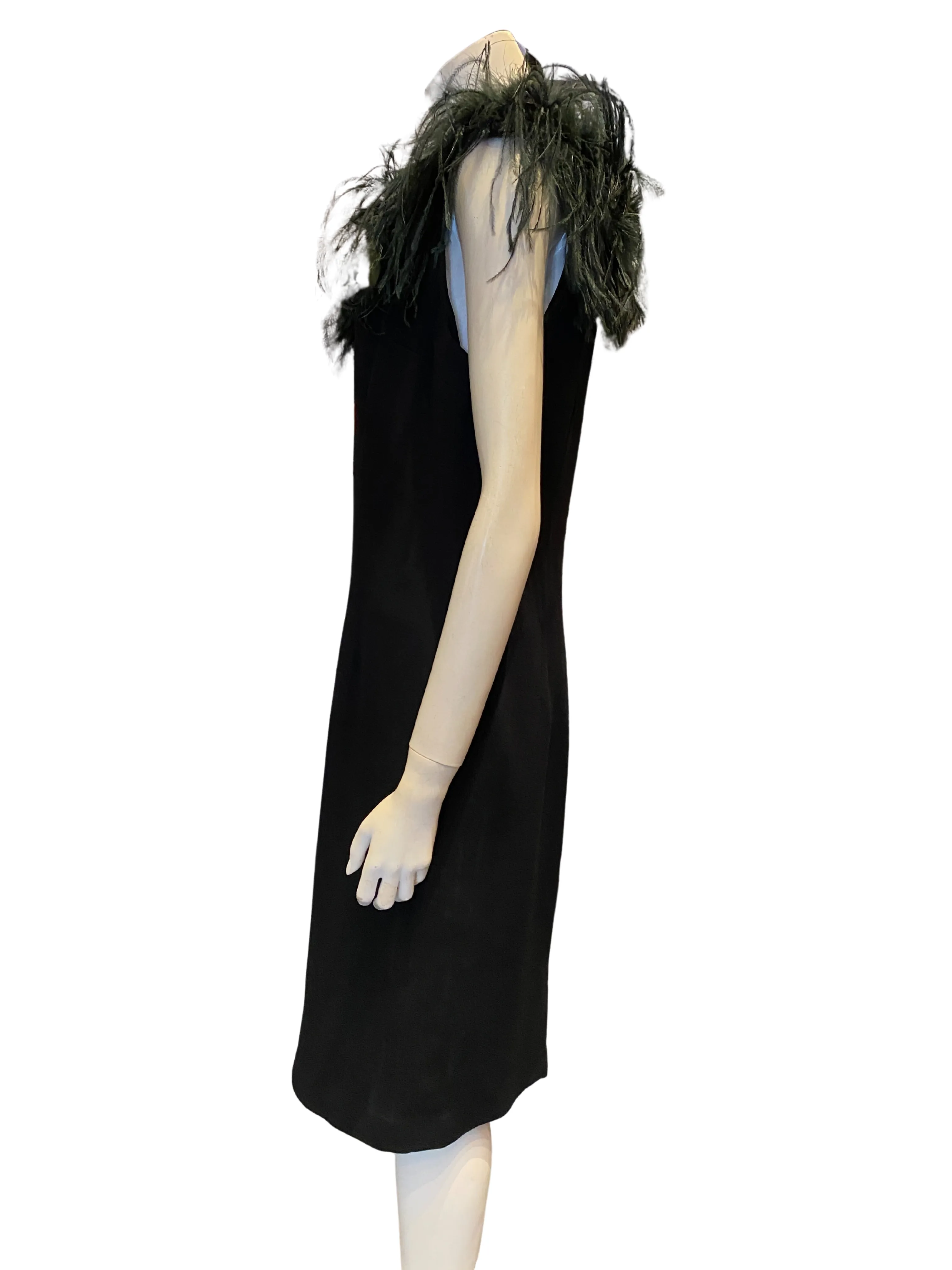 Rouge à Lèvres Feather Dress |L|IT46|US10|